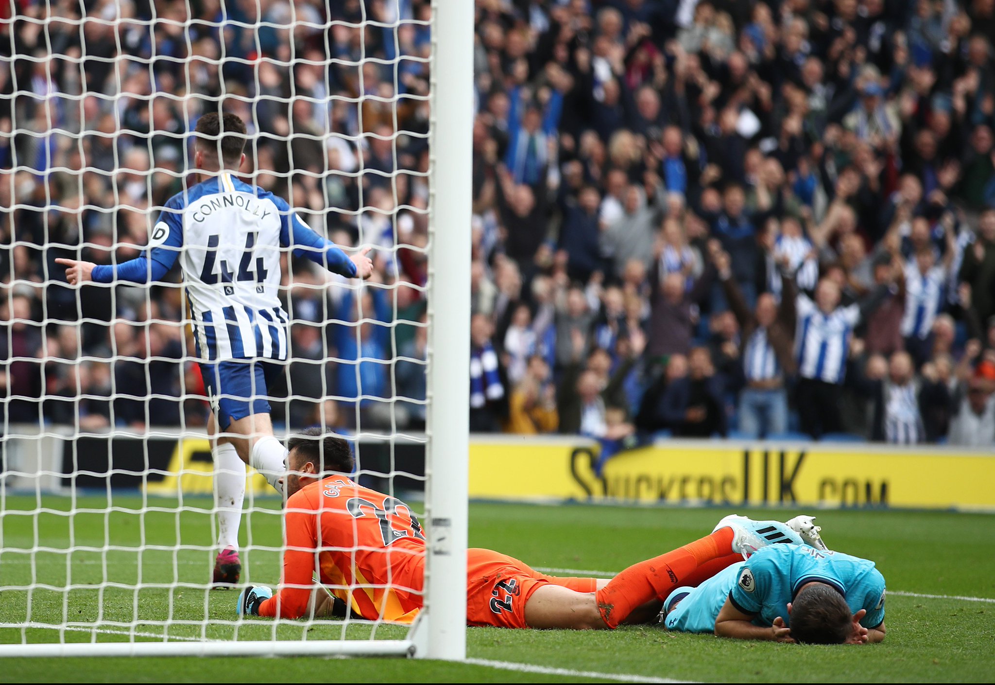 不仅代表个 不仅代表个